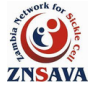 ZNSAVA